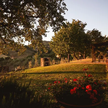 Bio Agriturismo Poggio Aione-2